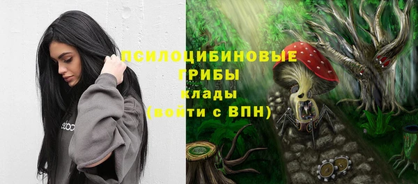 трава Абаза