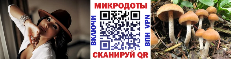 Галлюциногенные грибы Cubensis  Севастополь 